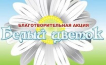 Стартует благотворительная акция "Белый цветок"