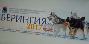 Cтартует прием заявок на участие в гонке на собачьих упряжках Берингия-2017